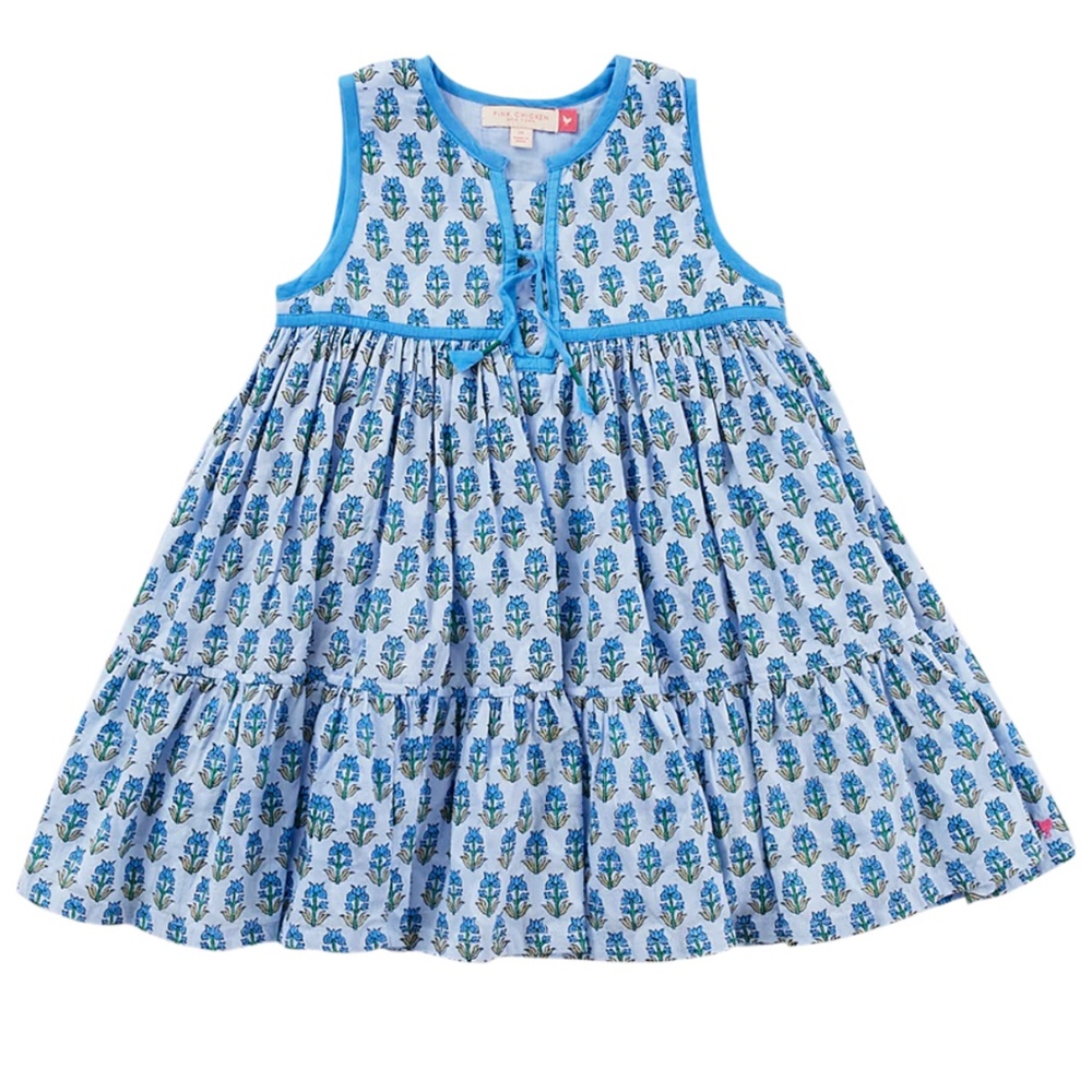 NWT Pink Chicken Girls Jade Dress - Sky Block Floral Print